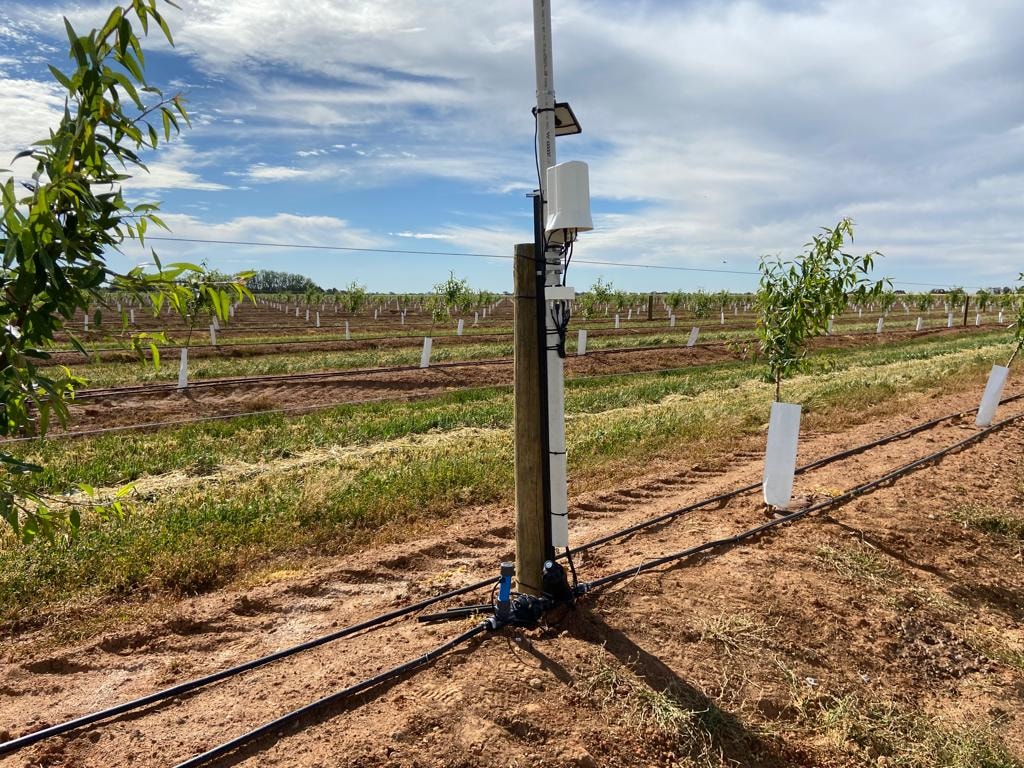 Soil Basic Solution